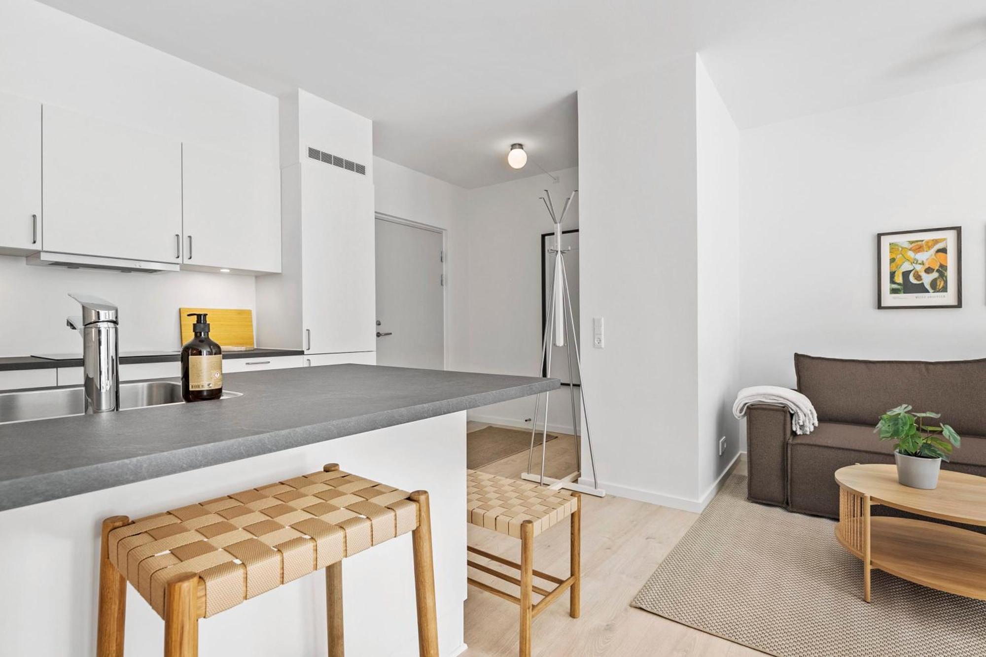 Inner City Grand Suite Arhus Ngoại thất bức ảnh